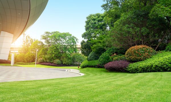 Commercial Lawn Mowing in Middleburg