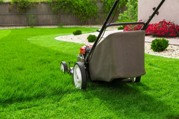 Grass Mowing in Middleburg