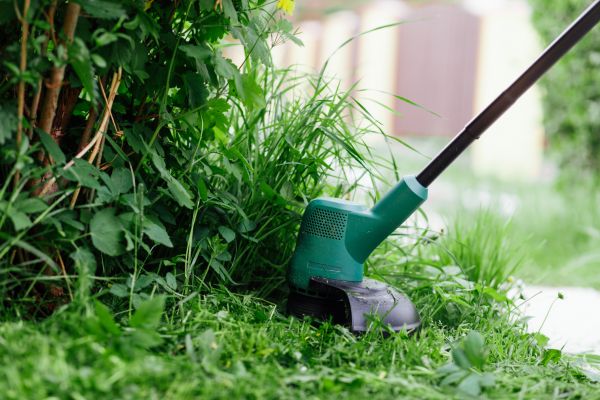 Weed Whacking in Middleburg