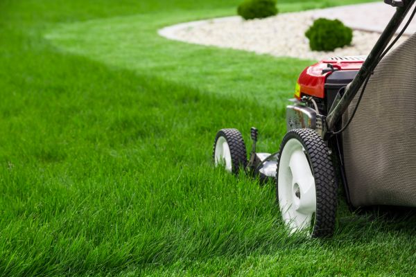 Yard Maintenance in Middleburg