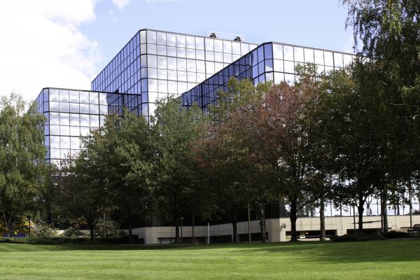 Commercial Lawn Service in Middleburg