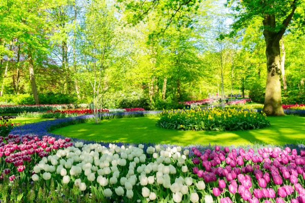 Spring Lawn Care in Middleburg