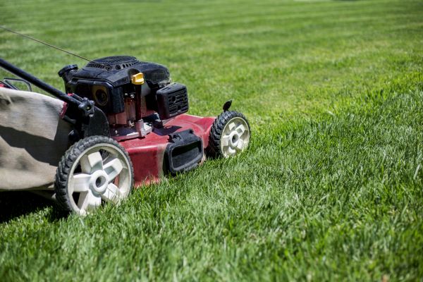Routine Lawn Care in Middleburg