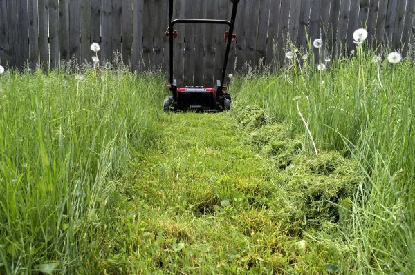 High Grass Mowing in Middleburg