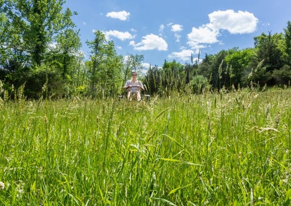 Long Grass Mowing in Middleburg