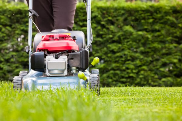 Grass Trimming Service in Middleburg