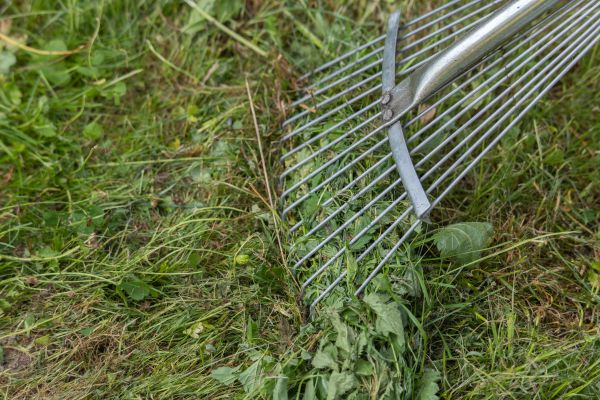Thatch Raking in Middleburg