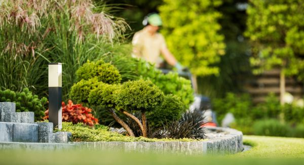 Residential Yard Maintenance in Middleburg