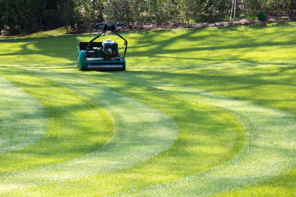 Business Lawn Mowing in Middleburg