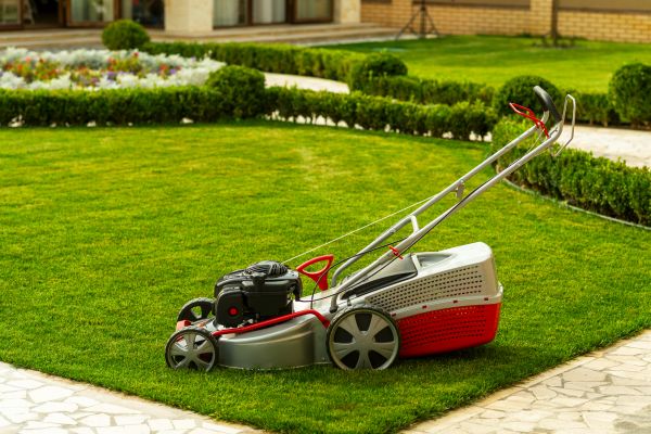 Business Grass Cutting in Middleburg