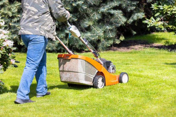 Springtime Lawn Care in Middleburg