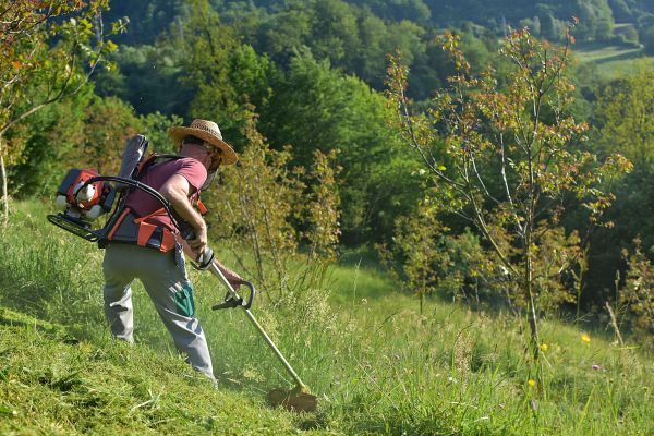 Slope Mowing in Middleburg