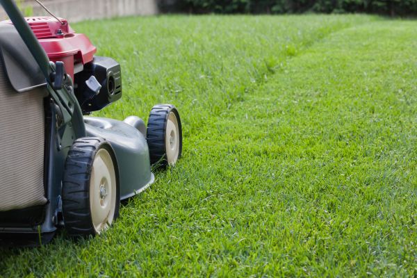 Spring Lawn Maintenance in Middleburg